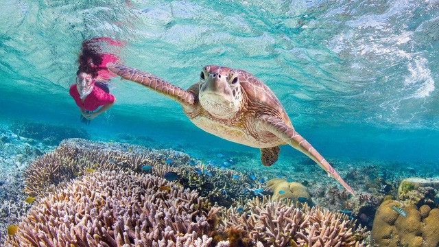 Hố xanh khổng lồ chứa đựng điều bí ẩn của tự nhiên ảnh 4