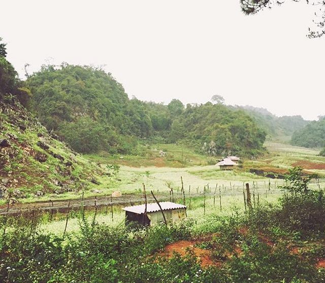 Ảnh: peternguyenha