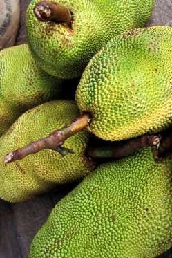 Dự báo những xu hướng sức khỏe sẽ hot trong năm 2018 ảnh 2