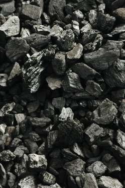 Dự báo những xu hướng sức khỏe sẽ hot trong năm 2018 ảnh 4