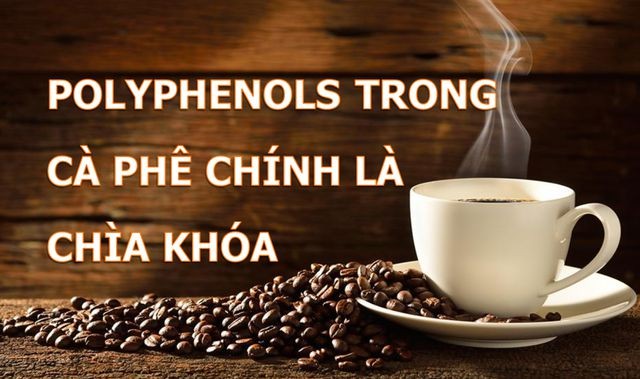 Cà phê giúp phòng ngừa căn bệnh gần 1/5 người Việt đang mắc phải ảnh 1