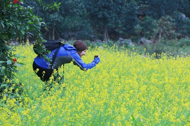 Vườn hoa cải rực vàng đẹp mê hồn khiến du khách nao lòng ở Thung Nham ảnh 14