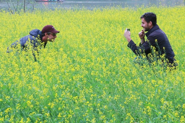 Vườn hoa cải rực vàng đẹp mê hồn khiến du khách nao lòng ở Thung Nham ảnh 15