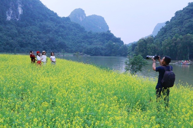 Vườn hoa cải rực vàng đẹp mê hồn khiến du khách nao lòng ở Thung Nham ảnh 20