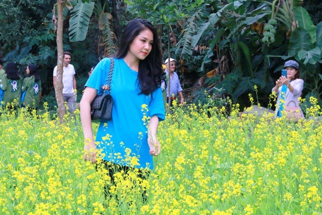 Vườn hoa cải rực vàng đẹp mê hồn khiến du khách nao lòng ở Thung Nham ảnh 6