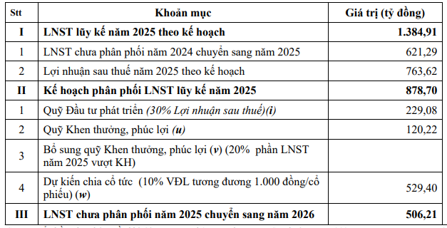 Kế hoạch phân phối lợi nhuận năm 2025