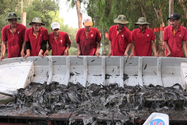“Thịnh vượng” Trà Sư cho ngày trở lại ảnh 2