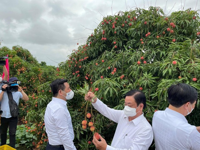 Nhiều hệ thống phân phối lớn trên cả nước cùng tiêu thụ vải.