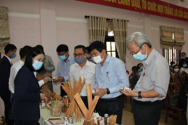 Các sản phẩm quế, hồi của Vinasamex được quan tâm tại Quảng Trị. Người dân tham gia chương trình liên kết được bao tiêu đầu ra với giá cao hơn thị trường.