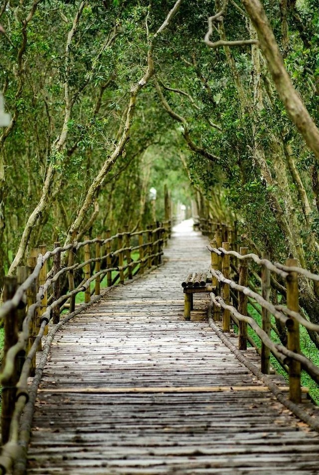 Cầu vòm xanh Trà Sư.