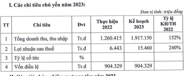 Kế hoạch kinh doanh của VNE năm 2023