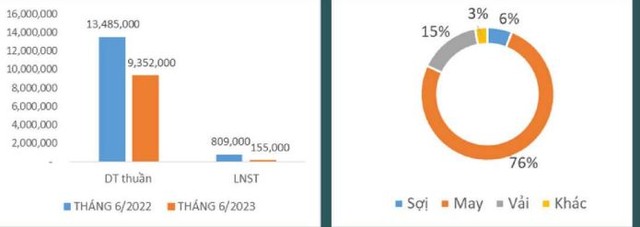 Tình hình kinh doanh tháng 6/2023 và cơ cấu đóng góp doanh thu của TCM.
