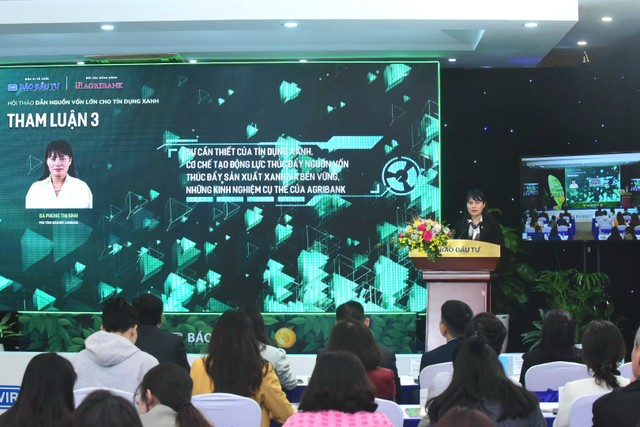 Xanh hóa nền kinh tế đang là xu hướng toàn cầu, tín dụng xanh là xu thế tất yếu của nhiều ngân hàng trên thế giới. Ảnh Dũng Minh.