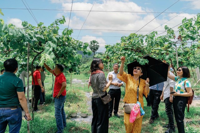 Vườn trái cây say quả ngọt.