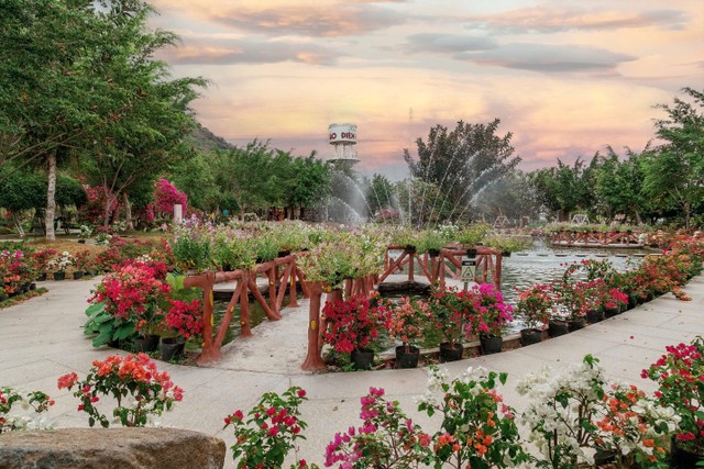 Sắc hương phủ khắp lối đi ven Hồ Thiên Cảnh.