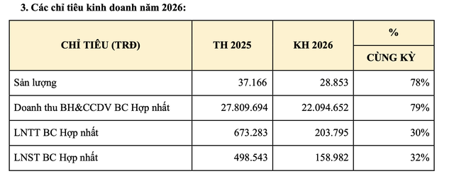 Savico đặt kế hoạch đi lùi trong năm 2026.