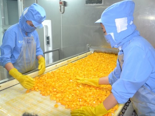 Doanh nghiệp Việt giao thương tìm đầu mối xuất khẩu tại Hàn Quốc ảnh 1