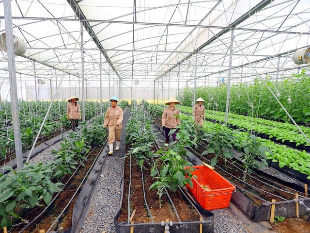 Hội nghị Thượng đỉnh Kinh doanh Việt Nam 2017: Cuộc kết nối đỉnh cao ảnh 1