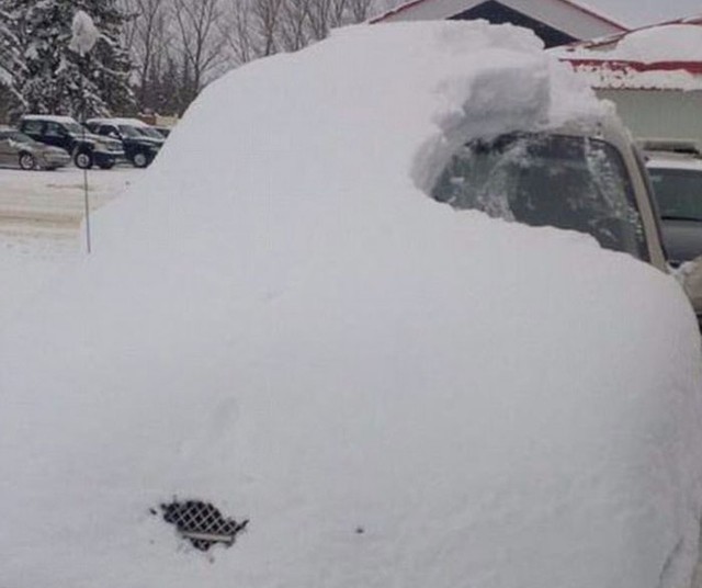 Những bức ảnh mùa đông nhìn là thấy buốt giá ảnh 1