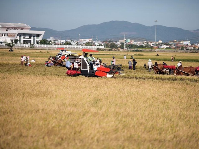 Cơ cấu lại nền kinh tế: Góc nhìn từ những nguồn lực bị đánh mất - Bài 1 ảnh 1