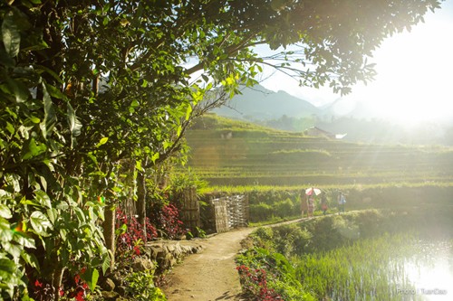 5 điểm đến thay thế các nơi đông đúc dịp Tết Dương lịch ảnh 1