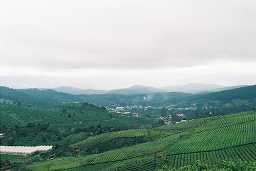 Ba nông trại được nhiều người check-in nhất ở Đà Lạt ảnh 2