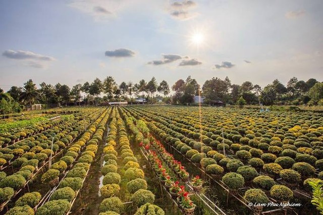 8 điểm đến đẹp nhất Việt Nam để du lịch vào tháng 1 ảnh 7