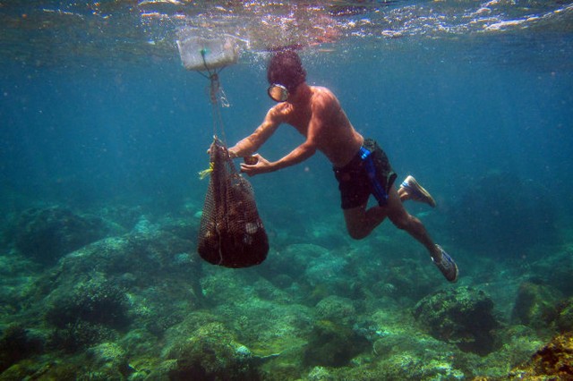 Bản sắc Việt: Hoang sơ Cồn Cỏ ảnh 3