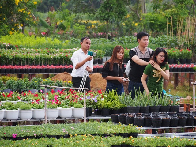 Làng hoa Sa Đéc đông khách những ngày cận Tết ảnh 10