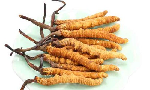 Những món quà Tết bạc tỷ được nhà giàu Việt săn lùng ảnh 2