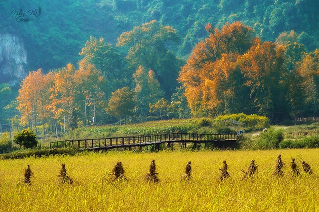 5 'tuyệt tình cốc' được giới trẻ check-in nhiều ở Việt Nam ảnh 2