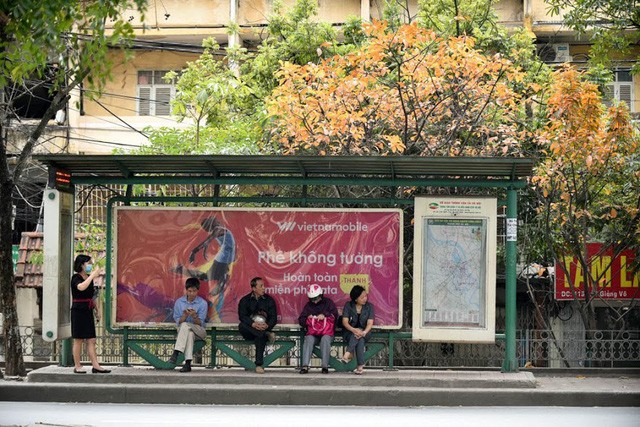 Mùa cây thay lá, Hà Nội đẹp mê hồn khiến bao người đắm say ảnh 2 Mùa cây thay lá, Hà Nội đẹp mê hồn khiến bao người đắm say ảnh 2