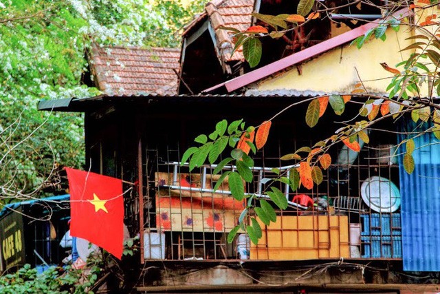 Mùa cây thay lá, Hà Nội đẹp mê hồn khiến bao người đắm say ảnh 9 Mùa cây thay lá, Hà Nội đẹp mê hồn khiến bao người đắm say ảnh 9