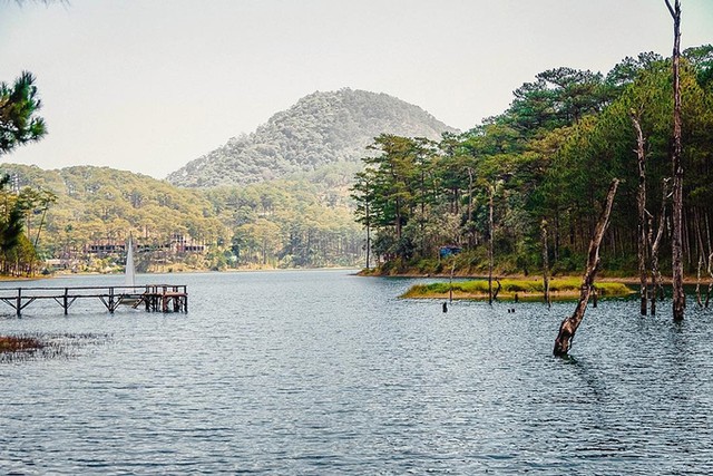 3 điểm đến mới nổi được nhiều bạn trẻ check-in ở Đà Lạt ảnh 7