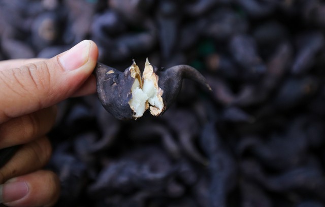 Đặc sản miền Tây trên vỉa hè Sài Gòn ảnh 12