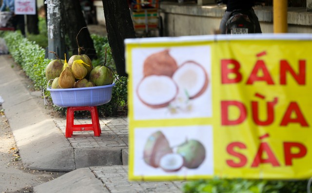 Đặc sản miền Tây trên vỉa hè Sài Gòn ảnh 5