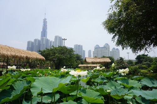 5 điểm tránh nóng cho giới trẻ Sài Gòn ảnh 2