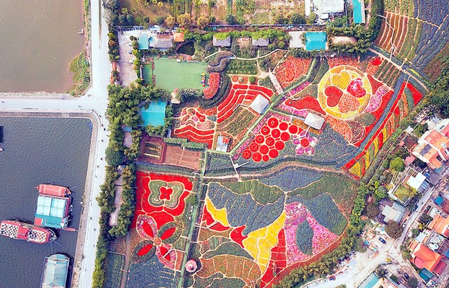 Thung lũng hoa tỏa sắc giữa Thủ đô ảnh 1