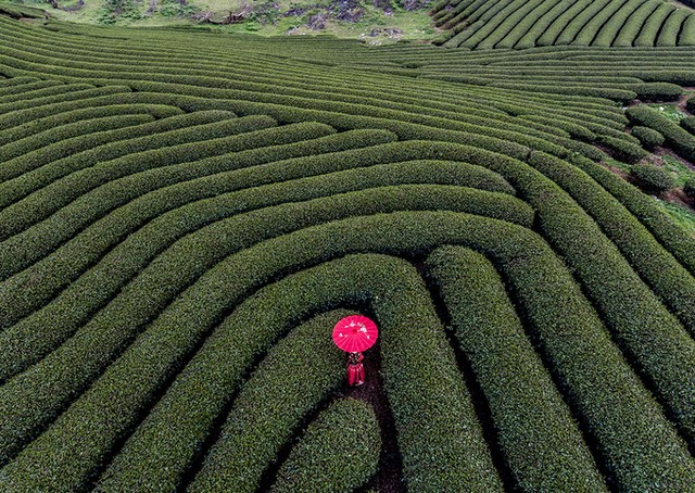 Nhiếp ảnh gia Mỹ: 'Cuộc đời tôi sang trang sau chuyến đi Việt Nam' ảnh 7