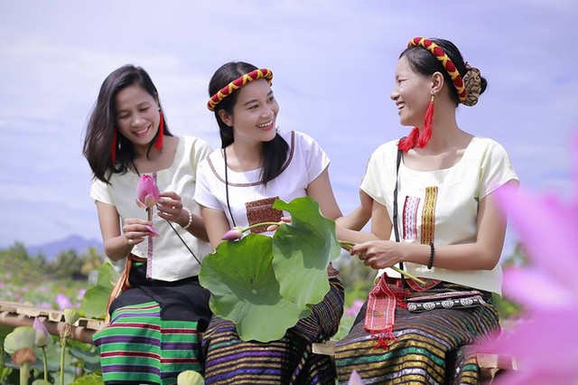 Cánh đồng sen 5 ha nở rộ giữa nắng hạn Ninh Thuận ảnh 4