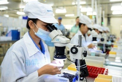 Sẽ triển khai phương án cấp bù lương hưu cho lao động nữ ảnh 2