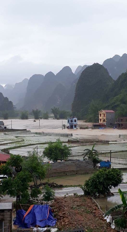 Thác Bản Giốc chìm sâu trong biển nước lũ ảnh 3