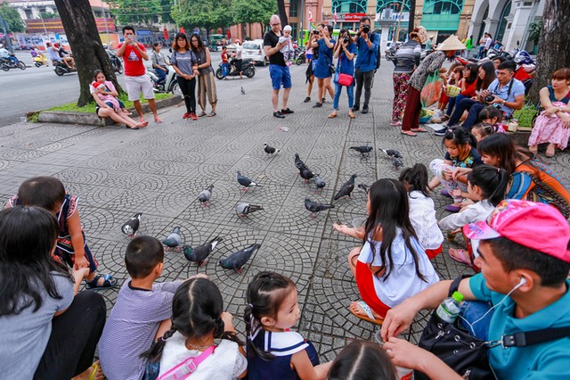 Hơn 700 con bồ câu bay lượn trước nhà thờ Đức Bà ảnh 4