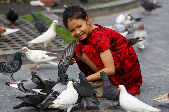 Hơn 700 con bồ câu bay lượn trước nhà thờ Đức Bà ảnh 6