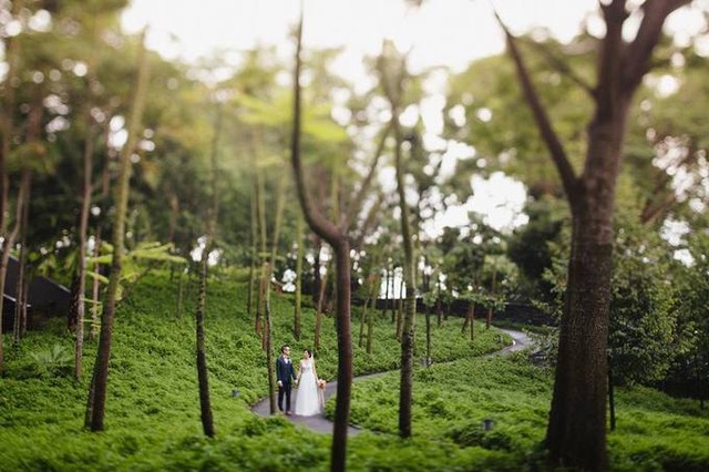 6 điều đặc biệt về nơi Trump - Kim gặp trên đảo Sentosa ảnh 7