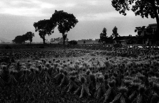 Ảnh Hà Nội 27 năm trước của nhiếp ảnh gia Pháp ảnh 10