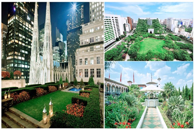 Khu “vườn chân mây” hiếm có trong lòng Hà Nội ảnh 1