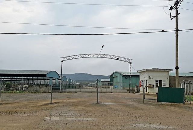 Hà Tĩnh: Chất vấn trách nhiệm quản lý đại dự án nông nghiệp “chết lâm sàng” ảnh 1