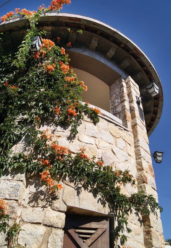 Ngôi biệt thự vua Bảo Đại tặng thứ phi Phi Ánh ở Đà Lạt ảnh 4