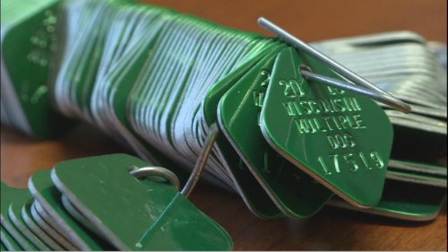 Chó ở Mỹ vạ lây vì cuộc chiến thương mại của ông Trump ảnh 1